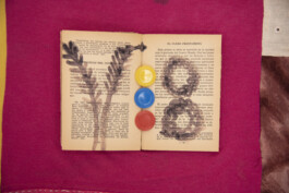 Karen Paulina Biswell