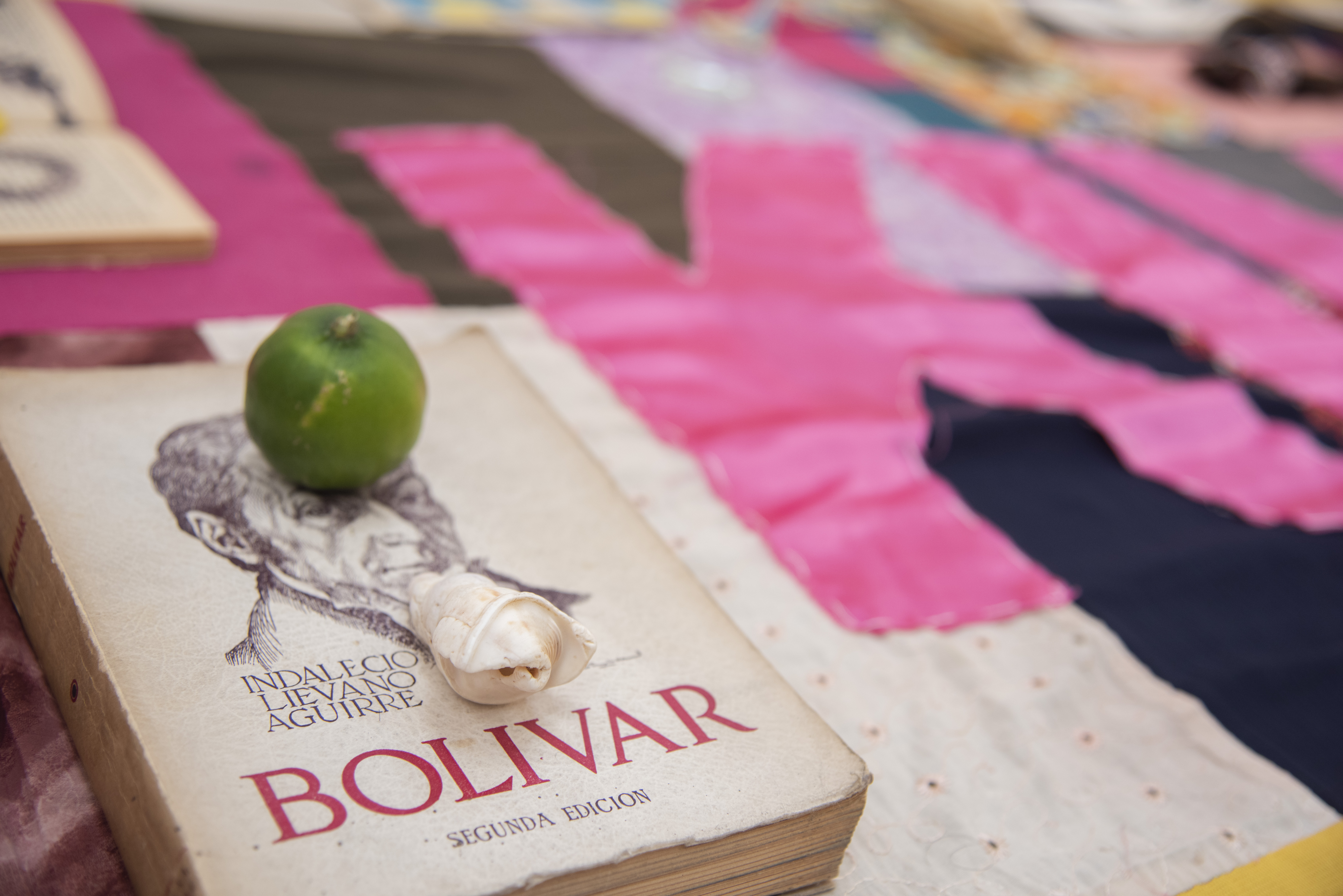 Karen Paulina Biswell