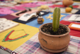 Karen Paulina Biswell