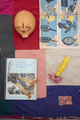 Karen Paulina Biswell