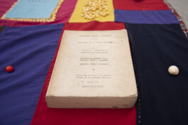 Karen Paulina Biswell