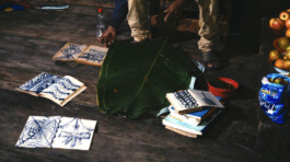 Karen Paulina Biswell