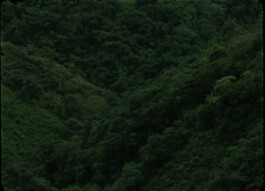 Karen Paulina Biswell