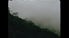 Karen Paulina Biswell