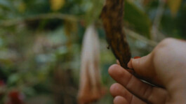 Karen Paulina Biswell