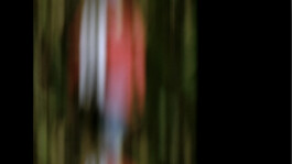 Karen Paulina Biswell