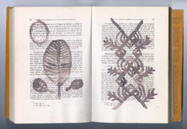 Karen Paulina Biswell