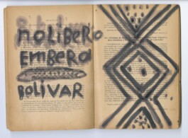 Karen Paulina Biswell