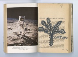 Karen Paulina Biswell