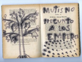 Karen Paulina Biswell