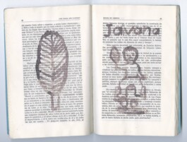 Karen Paulina Biswell