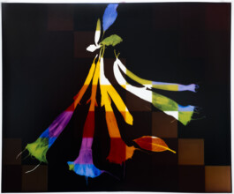 Karen Paulina Biswell