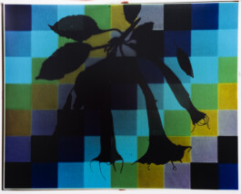 Karen Paulina Biswell