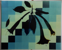 Karen Paulina Biswell