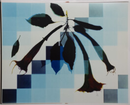 Karen Paulina Biswell