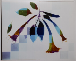 Karen Paulina Biswell