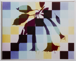 Karen Paulina Biswell