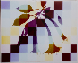 Karen Paulina Biswell