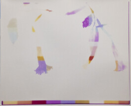 Karen Paulina Biswell