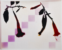 Karen Paulina Biswell