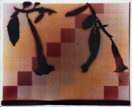 Karen Paulina Biswell