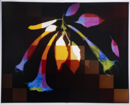 Karen Paulina Biswell