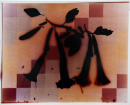 Karen Paulina Biswell