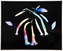 Karen Paulina Biswell