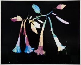 Karen Paulina Biswell