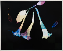 Karen Paulina Biswell