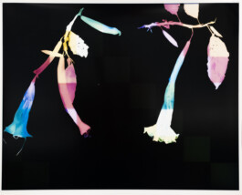 Karen Paulina Biswell