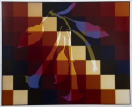 Karen Paulina Biswell