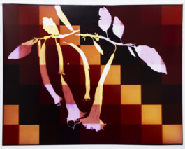 Karen Paulina Biswell