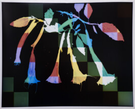 Karen Paulina Biswell