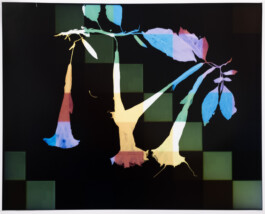 Karen Paulina Biswell