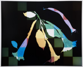 Karen Paulina Biswell