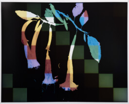 Karen Paulina Biswell