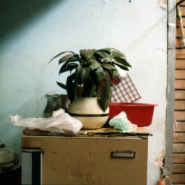 Karen Paulina Biswell