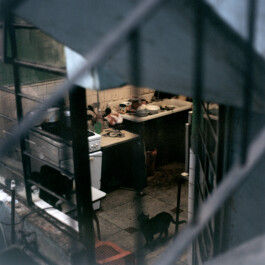 Karen Paulina Biswell