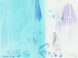 Karen Paulina Biswell