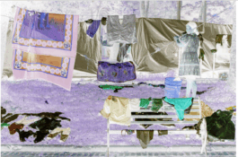 Karen Paulina Biswell