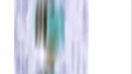 Karen Paulina Biswell