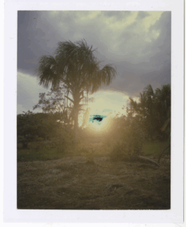 Karen Paulina Biswell