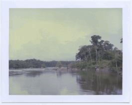 Karen Paulina Biswell