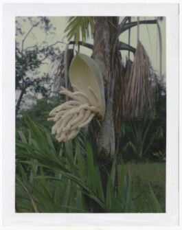 Karen Paulina Biswell