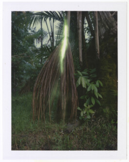 Karen Paulina Biswell