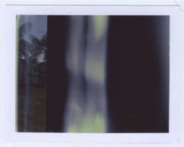 Karen Paulina Biswell