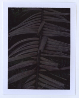 Karen Paulina Biswell