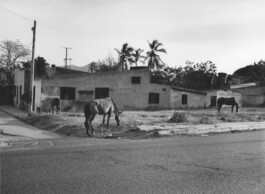 Karen Paulina Biswell