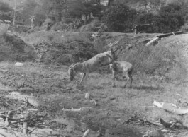 Karen Paulina Biswell